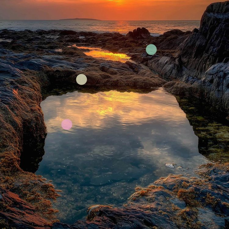 cover art for Piscine naturali che si riempiono con l’alta marea