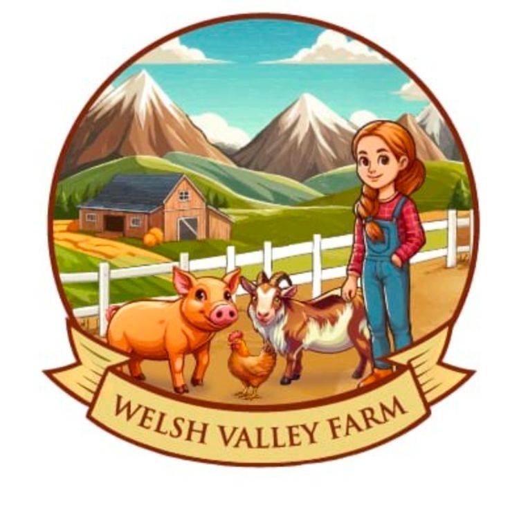 cover art for Training 