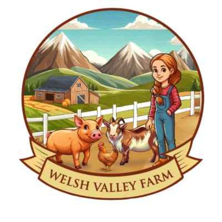 cover art for The Weekends 