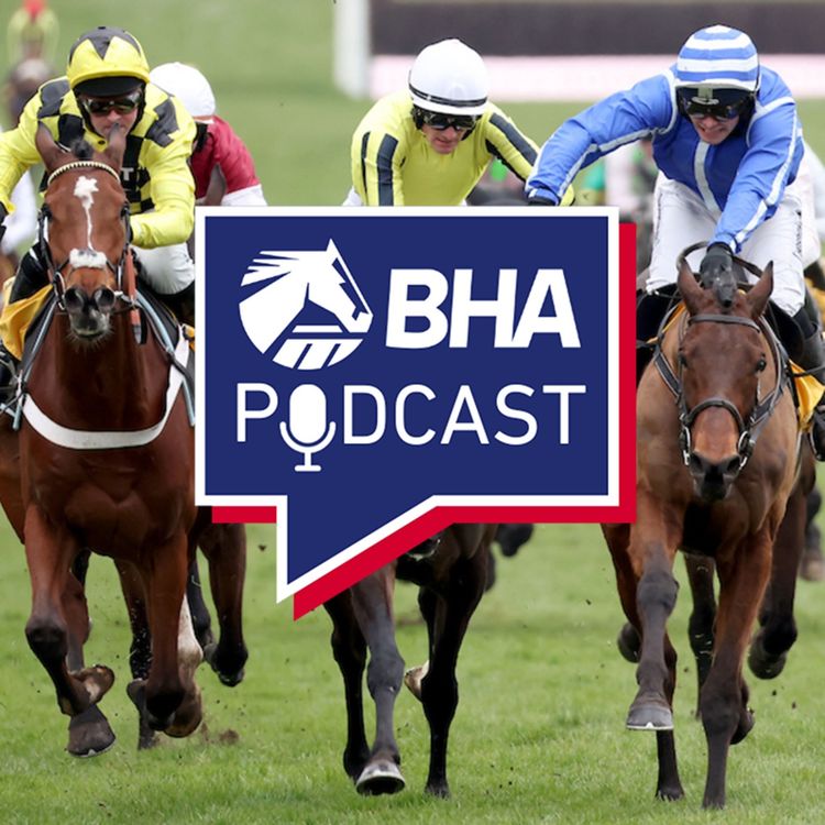 cover art for 9. Breaking news – Non-runners in Jumps races