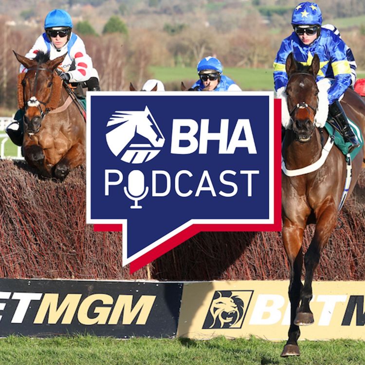 cover art for 11. Looking ahead on racing and back on an extraordinary investigation