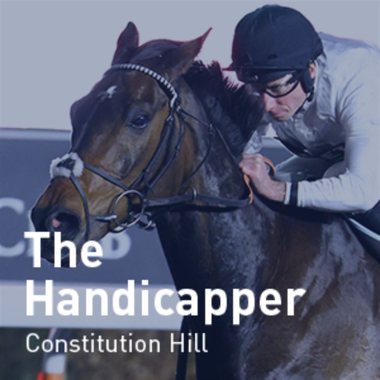 cover art for The Handicapper – Constitution Hill's official BHA rating