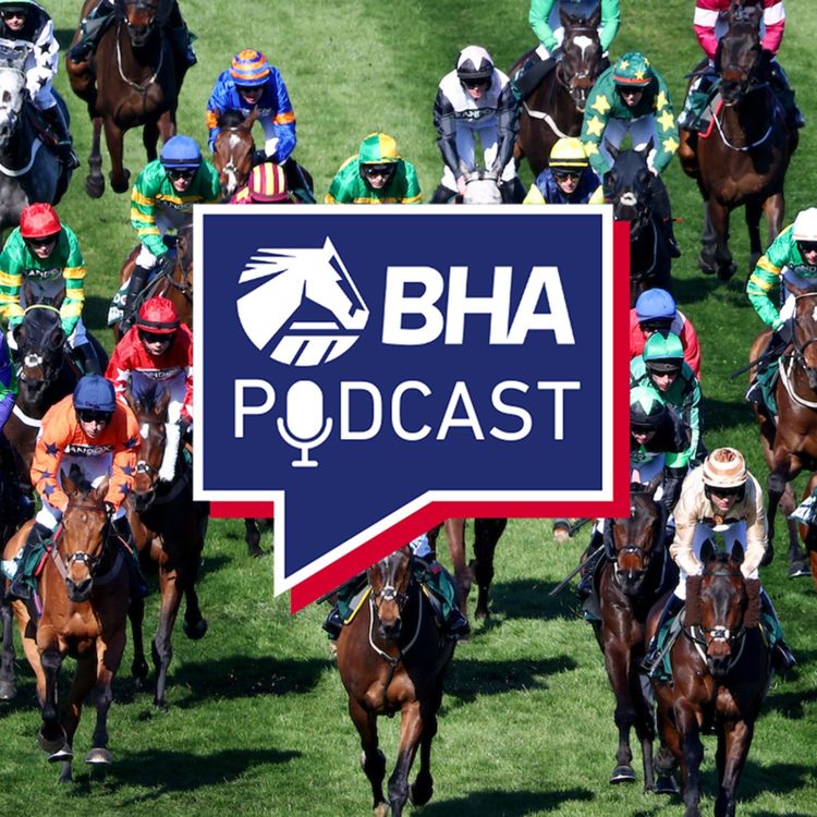 cover art for  17. Barry's Briefing - How to ride the Grand National