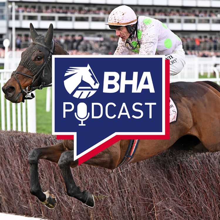 cover art for 20. The Handicappers reveal the top Jumps stars of 2025/26