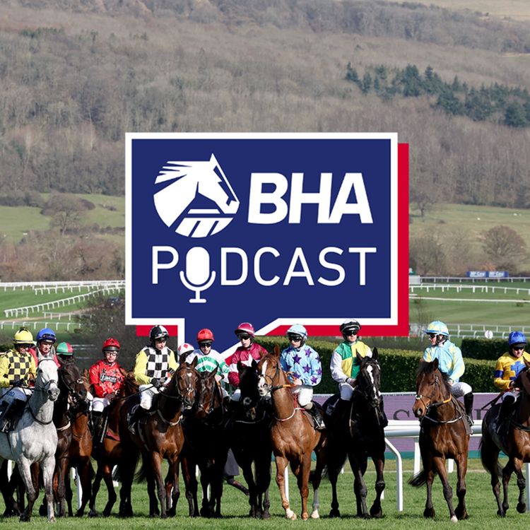 cover art for 24. Cheltenham Festival starts review