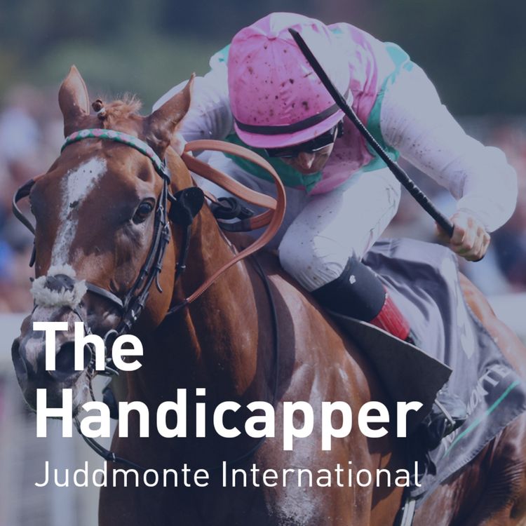 cover art for The Handicapper – Juddmonte International Stakes