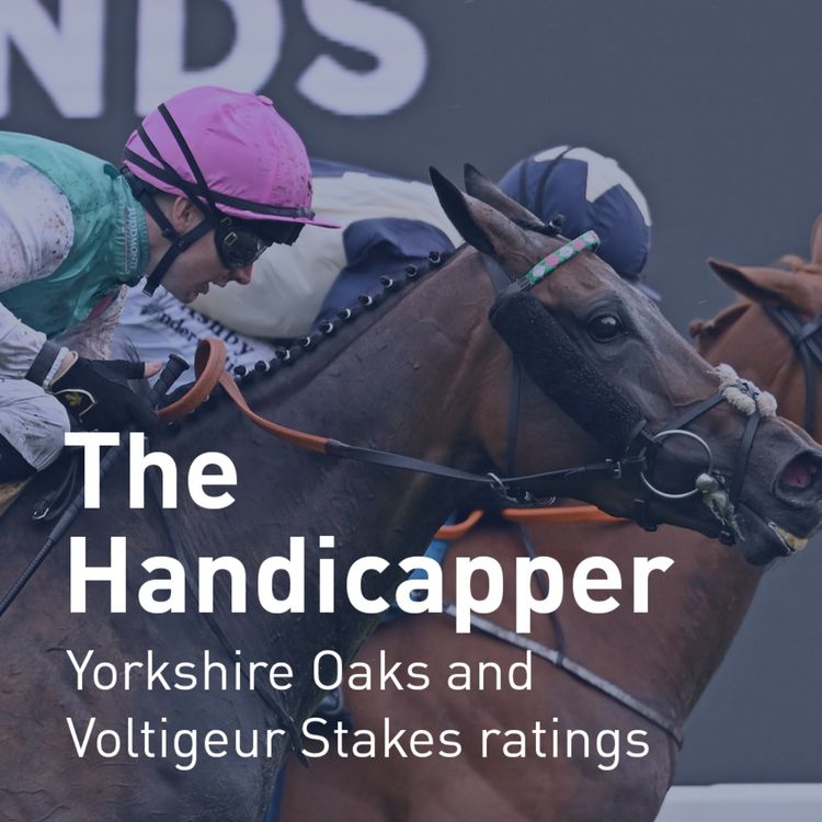 cover art for The Handicapper – Yorkshire Oaks and Voltigeur Stakes ratings