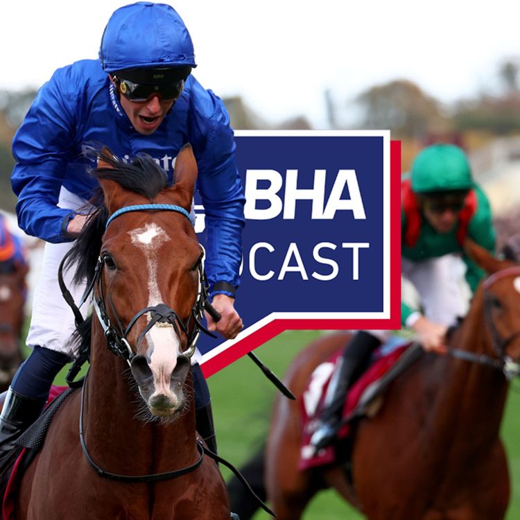 cover art for 29. British Champions Day and Flat season wrap