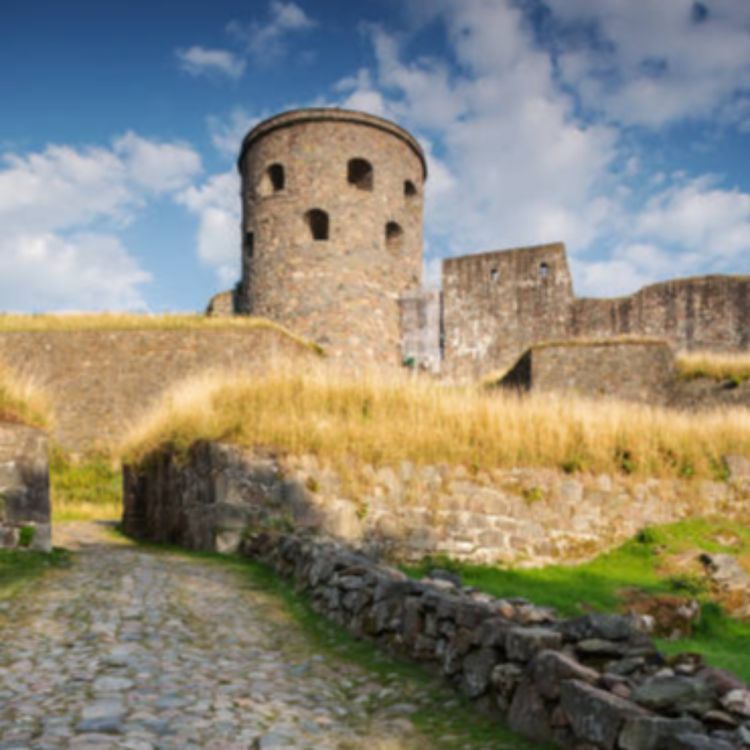 cover art for 11. FONTIN - (del 1 av 2)