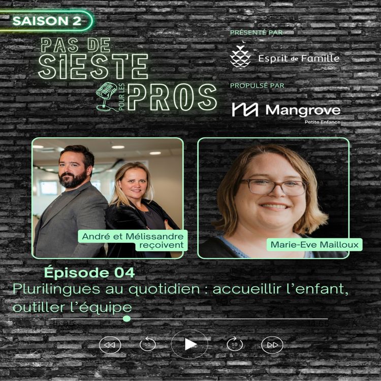 cover art for Plurilingues au quotidien : accueillir l’enfant, outiller l’équipe