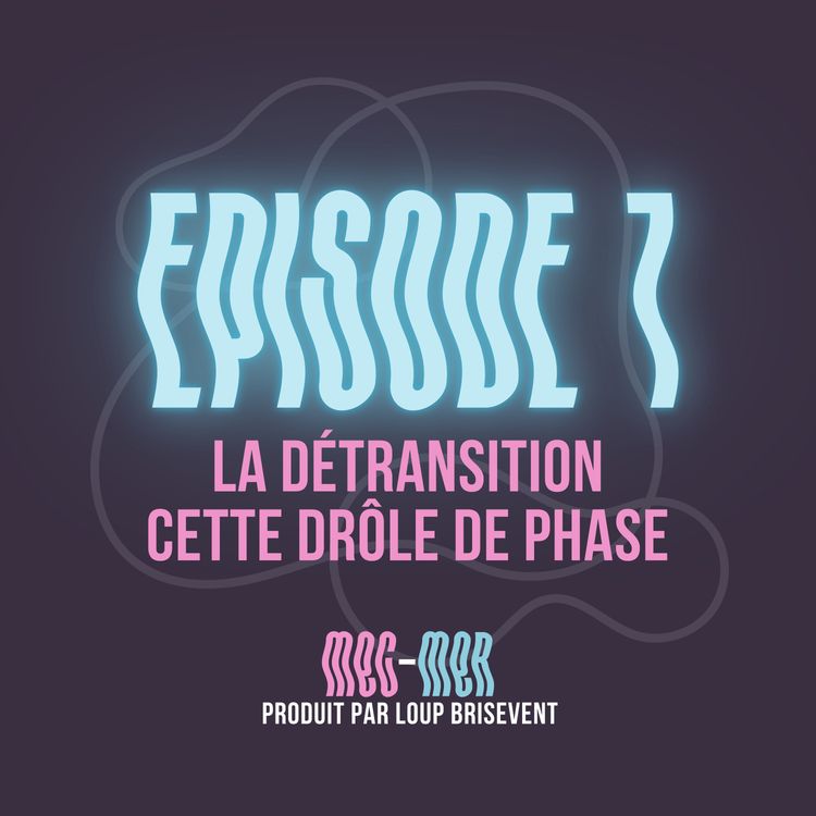 cover art for La détransition cette drôle de phase