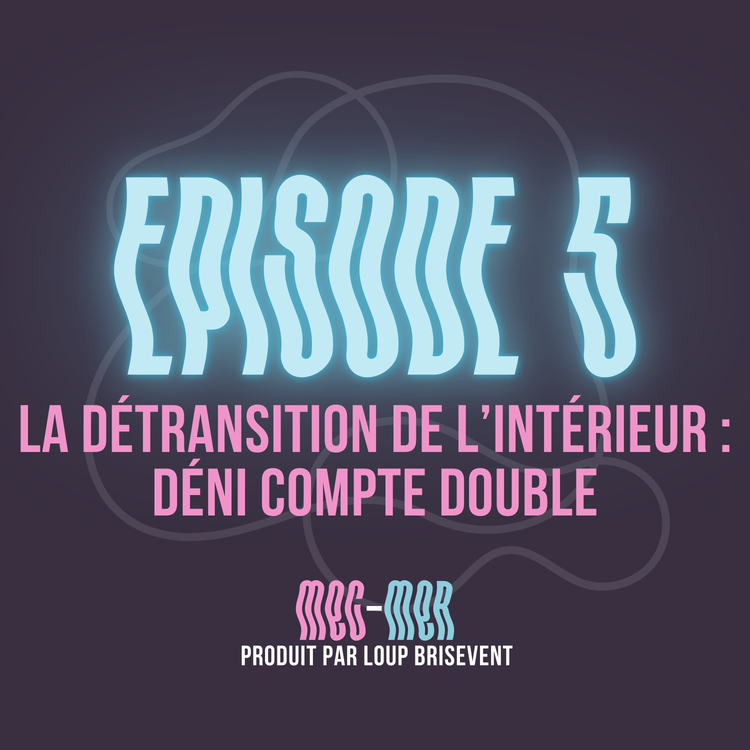 cover art for La détransition de l’intérieur : déni compte double
