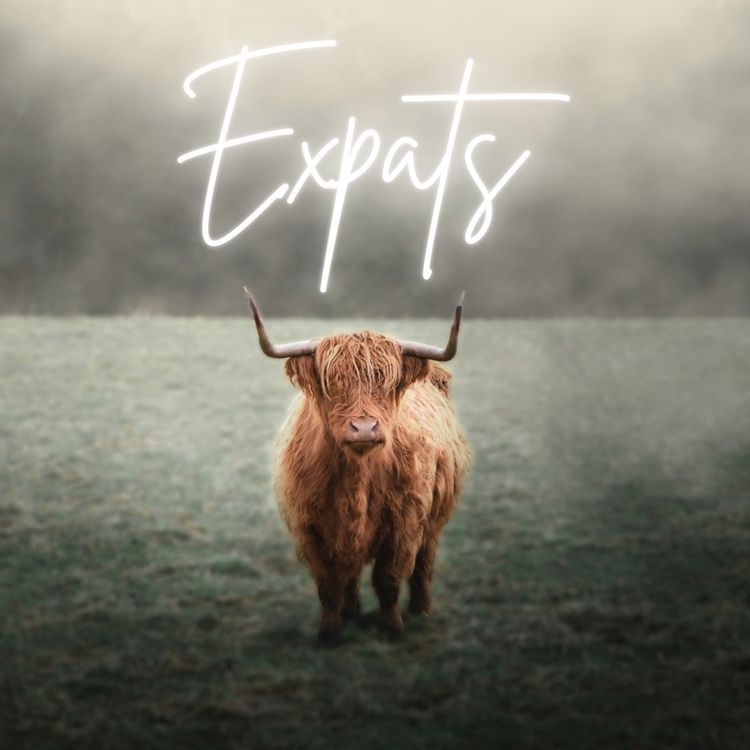 cover art for The Mom Expat: Jess Ross