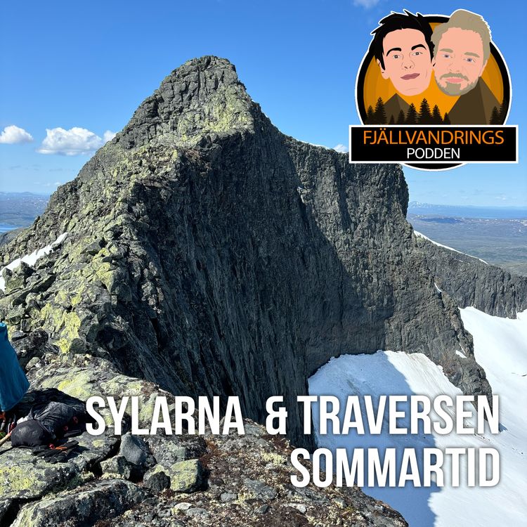 cover art for 60. Sylarna sommartid - Treårsjubileum