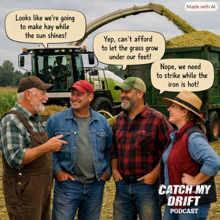 cover art for #94 - Tarp It Up