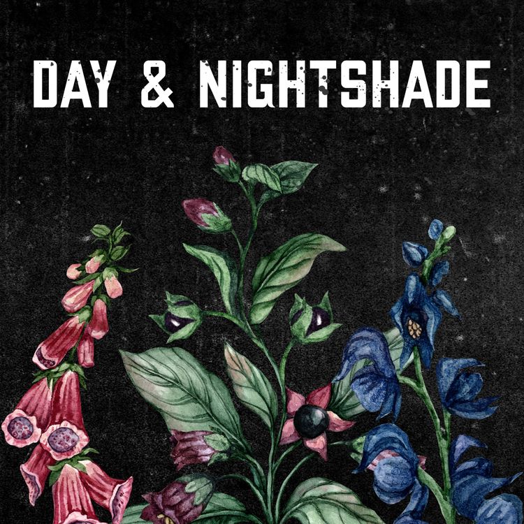 cover art for William Palmer - Day and Nightshade