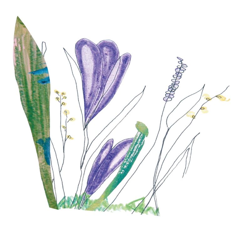 cover art for Pause and Notice