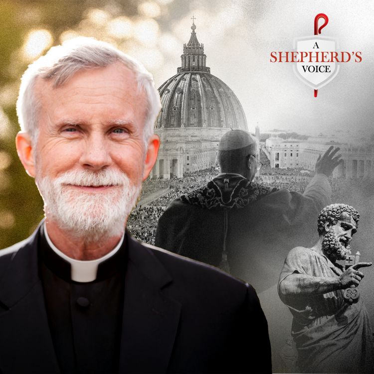 cover art for Pope Leo XIV New Hope and the Opportunity for Healing | Bishop Strickland