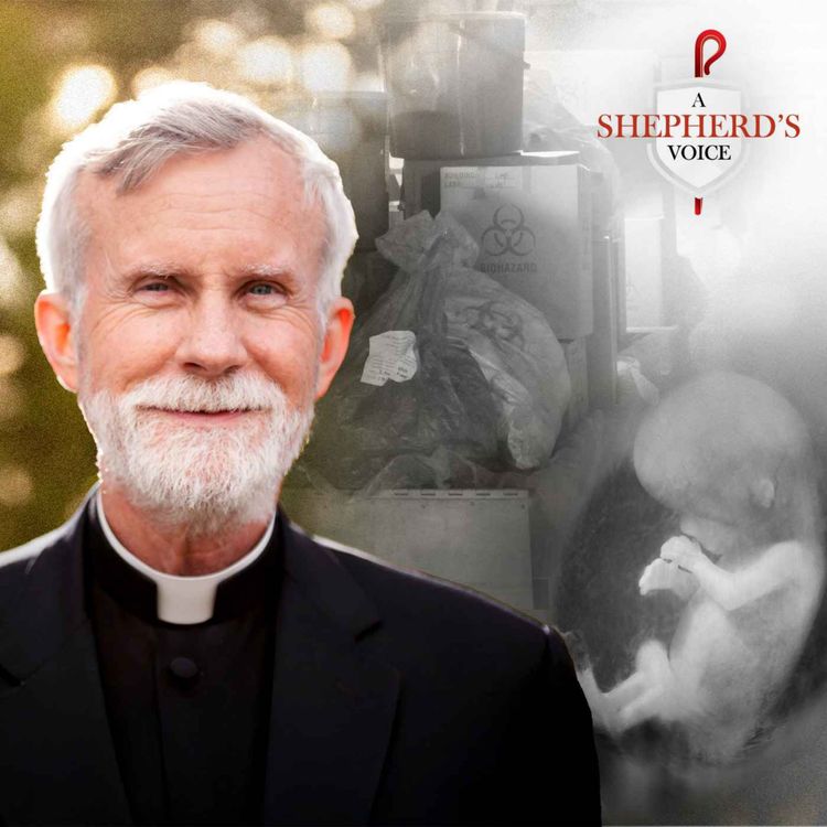 cover art for The Time for Compromise Is OVER | Bishop Strickland