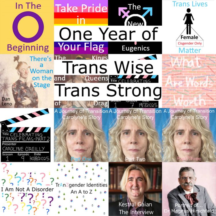cover art for One Year of Trans Wise Trans Strong