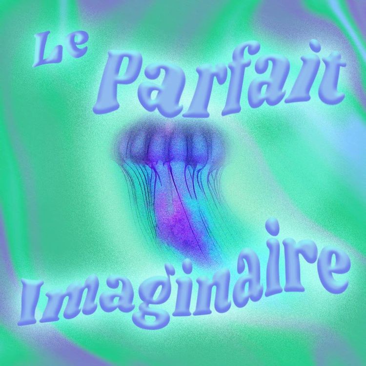 cover art for Épisode 37 : Les 1 an du Parfait Imaginaire ! … Et la Fin ?
