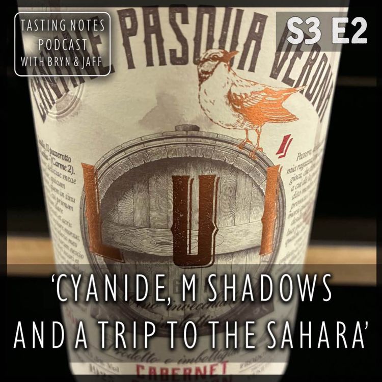 cover art for S3 E2 - Lui