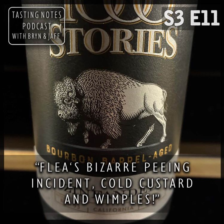 cover art for S3 E11 - 1000 Stories