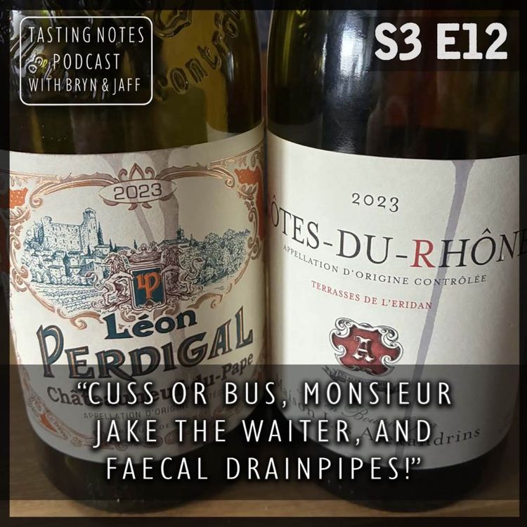 cover art for S3 E12 - The French Journey