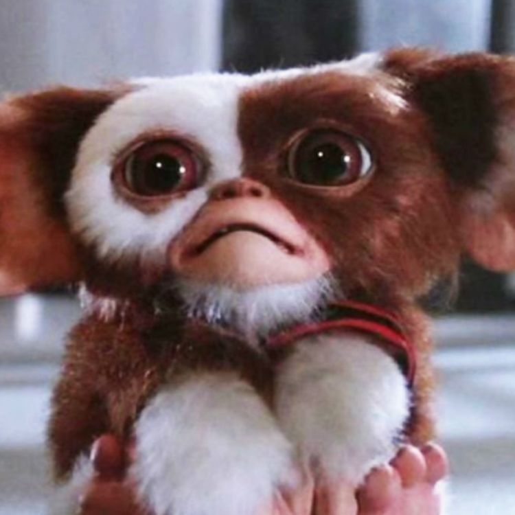 cover art for GREMLINS 3 Could Finally Happen if Steven Spielberg Approves New Script