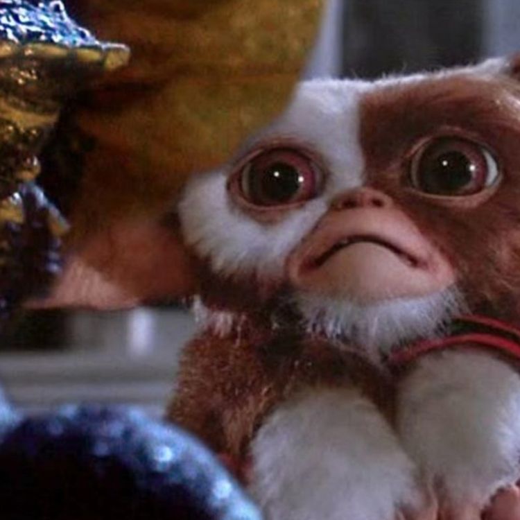 cover art for GREMLINS 3 Sets 2027 Release Date With Stephen Spielberg and Chris Columbus Onboard