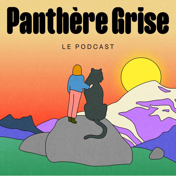 cover art for C'est quoi Panthère Grise ? 