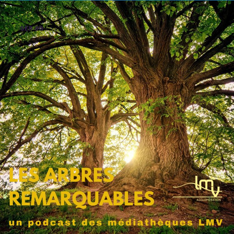 cover art for Bande-annonce : des arbres remarquables !