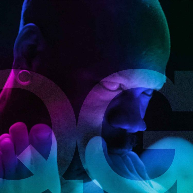 cover art for The Visitor (2024)