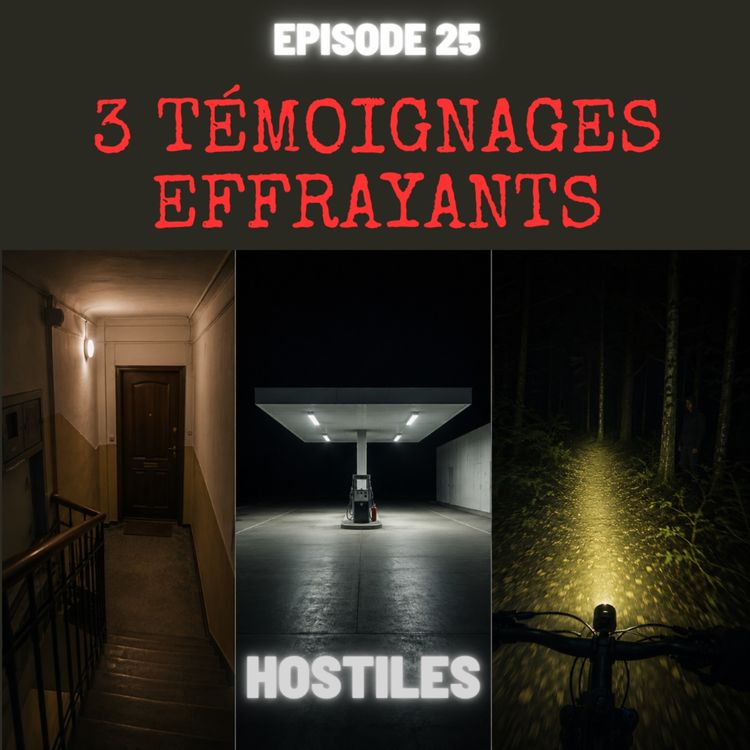cover art for EPISODE 25 - 3 Témoignages Effrayants - Spécial Abonnés #1