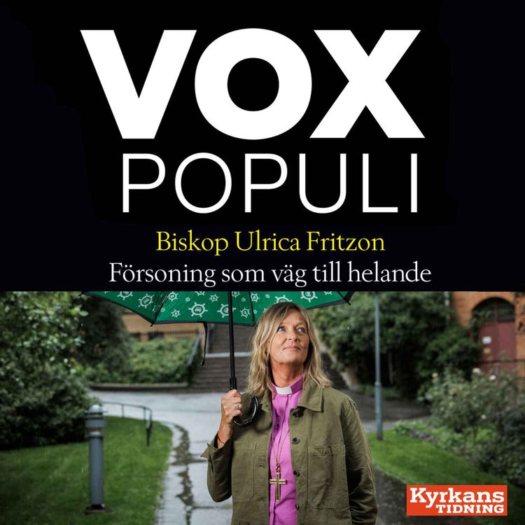 cover art for Biskopen som gömde sin bibel