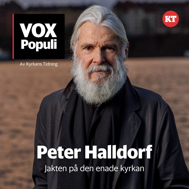 cover art for Peter Halldorfs jakt på den enade kyrkan