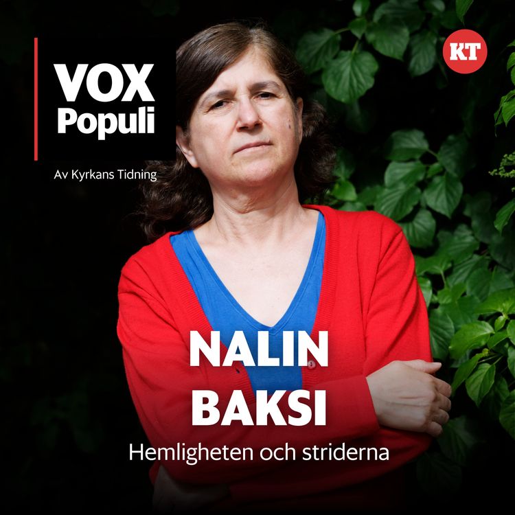 cover art for Nalin Baksi, hemligheten och striderna