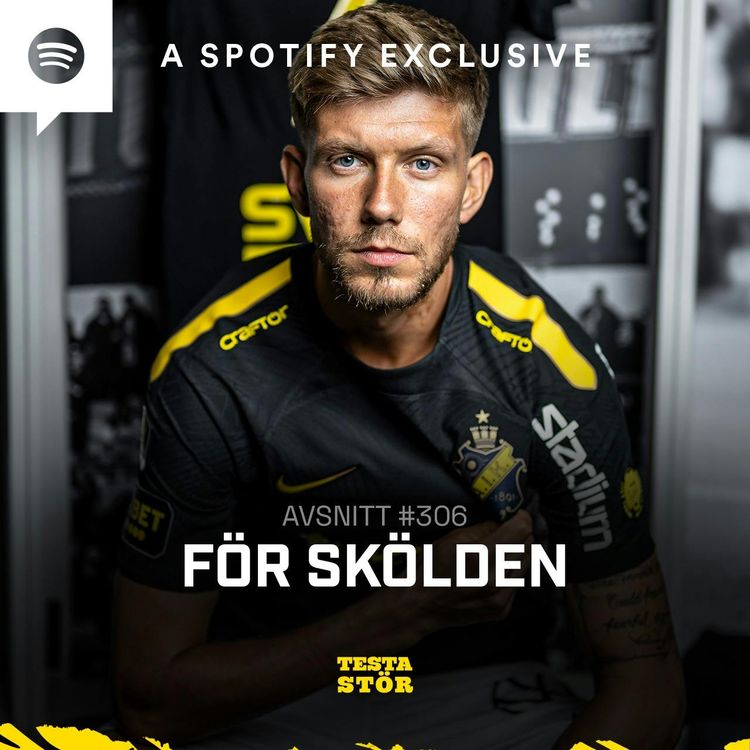 cover art for 306. För skölden