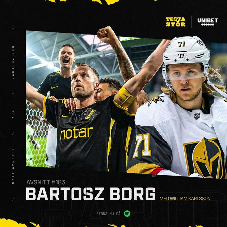 cover art for 183. Bartosz borg
