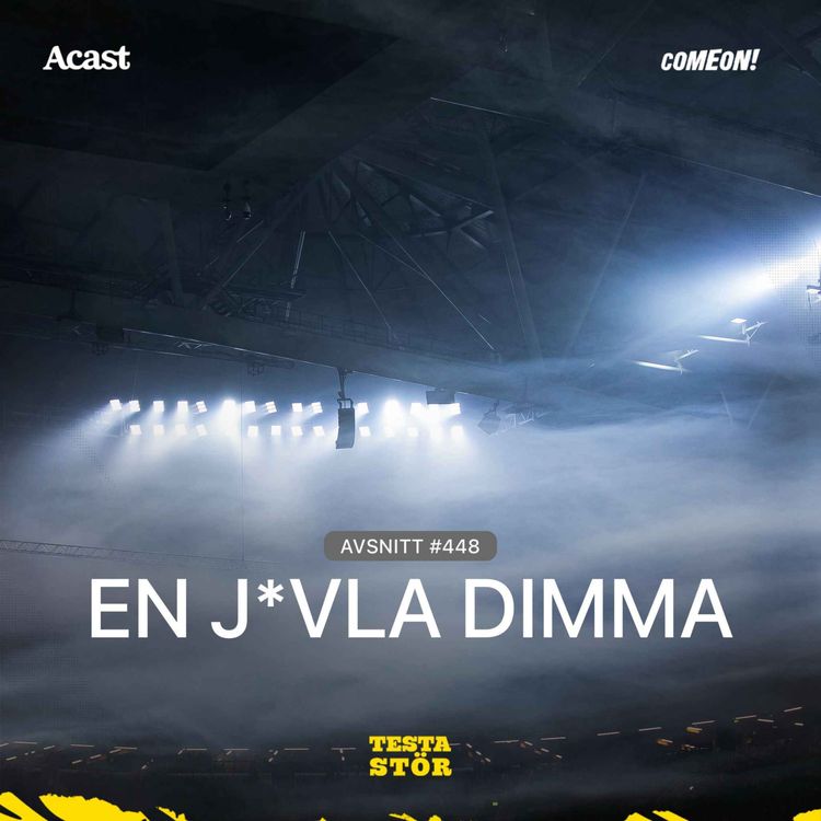cover art for 448. En j*vla dimma