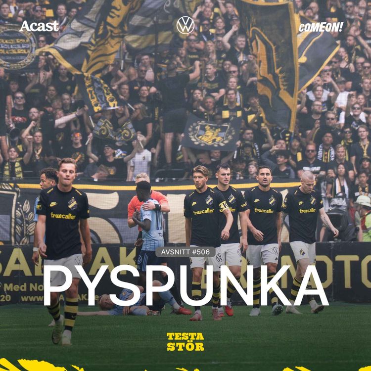 cover art for 506. Pyspunka