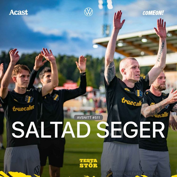 cover art for 511. Saltad seger