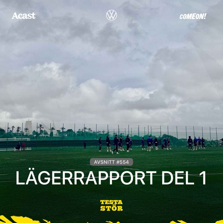 cover art for 554. LÄGERRAPPORT - DEL 1