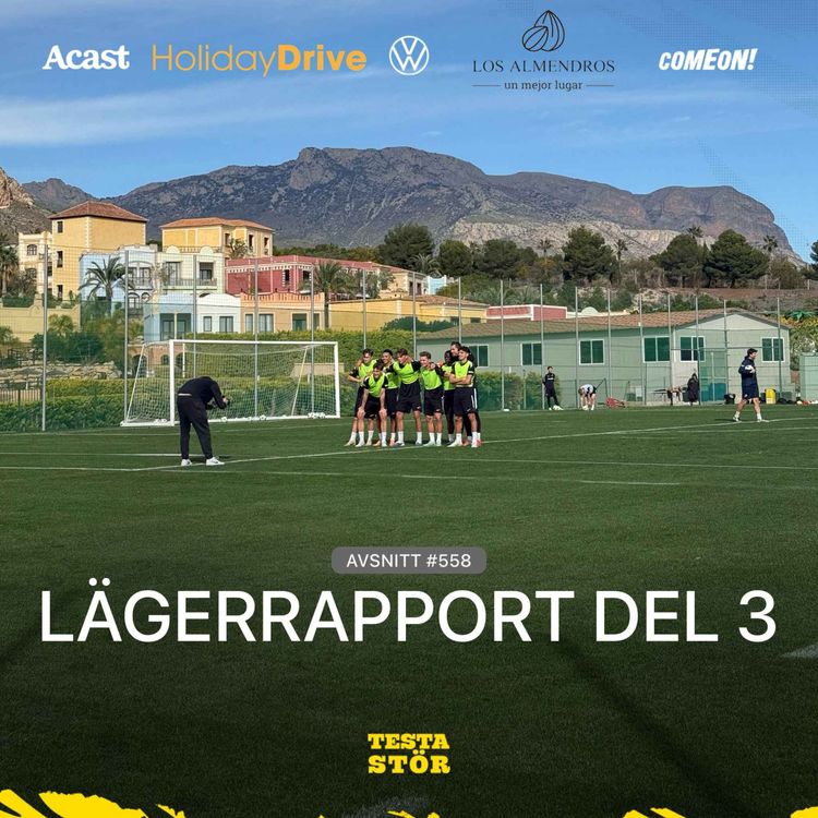 cover art for 558. LÄGERRAPPORT - DEL 3