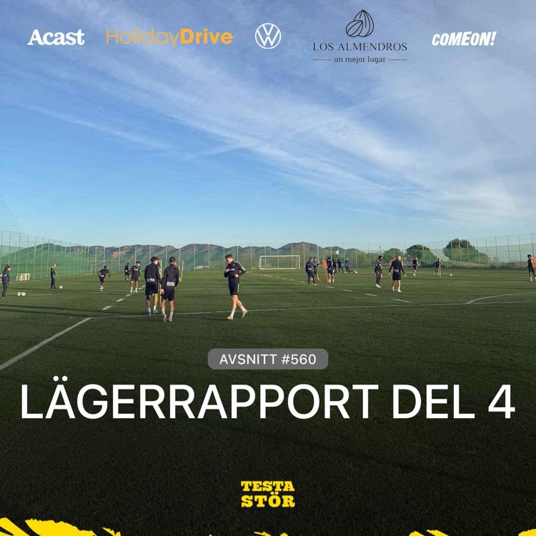 cover art for 560. LÄGERRAPPORT - DEL 4