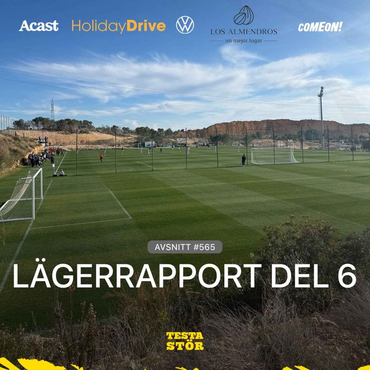 cover art for 565. LÄGERRAPPORT - DEL 6