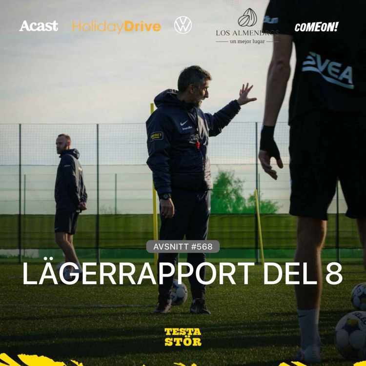 cover art for 568. LÄGERRAPPORT - DEL 8