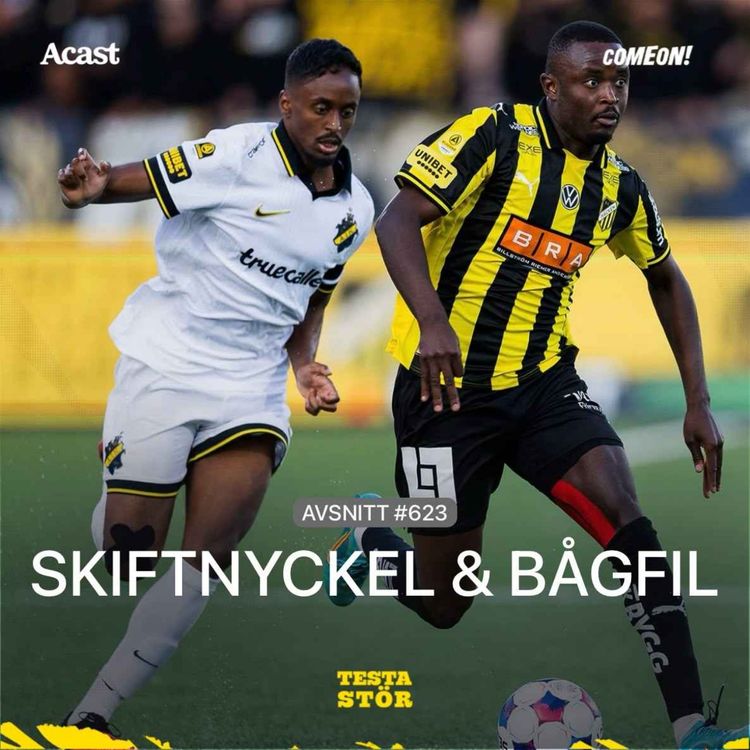 cover art for 623. Skiftnyckel & bågfil