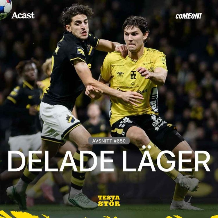 cover art for 650. Delade läger