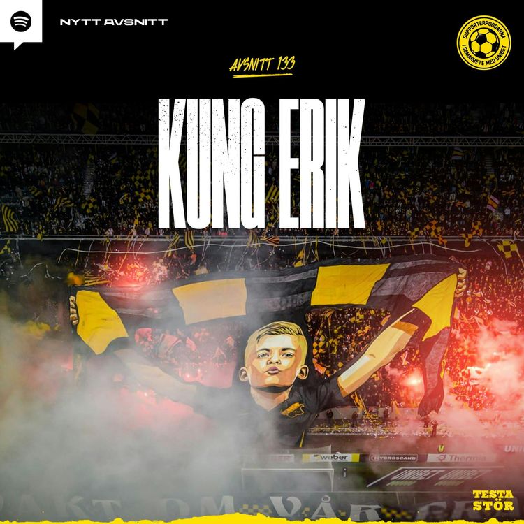 cover art for 133. Kung Erik